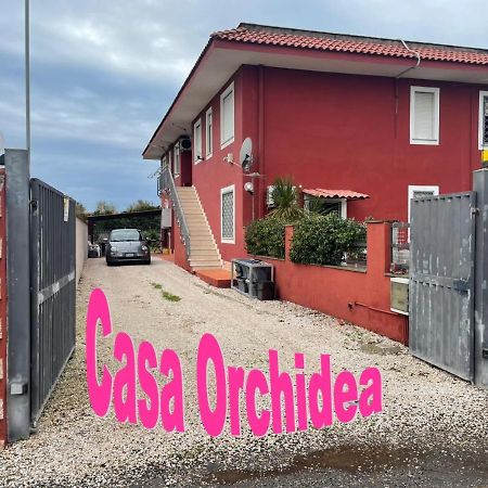 Casa Orchidea Apartamento Fiumicino Exterior foto